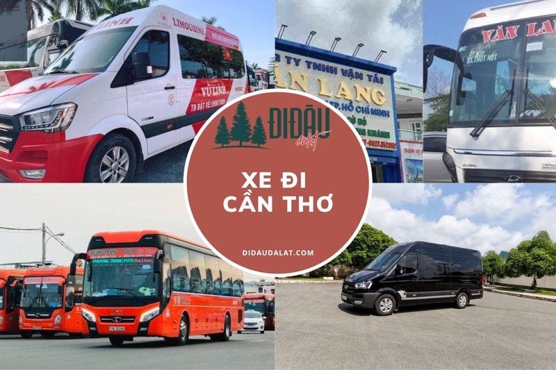 Tổng hợp 22 nhà xe đi Cần Thơ giá rẻ không thể bỏ qua