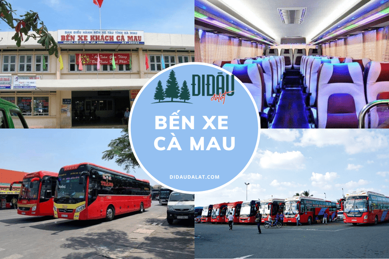Bến xe Cà Mau: Thông tin liên hệ và lịch trình các tuyến xe
