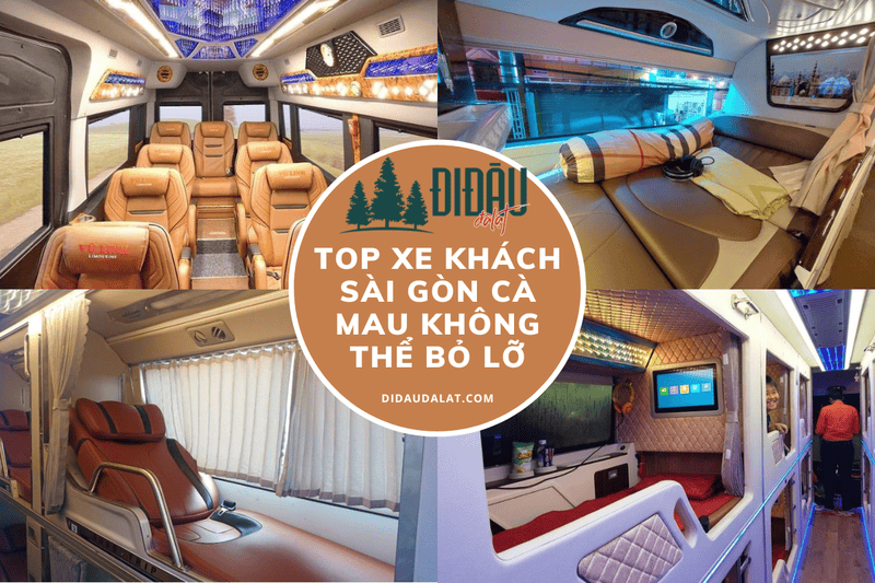 TOP Xe Khách Sài Gòn Cà Mau Không Thể Bỏ Lỡ