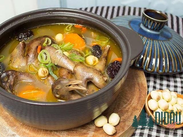 Bồ câu hầm thuốc bắc