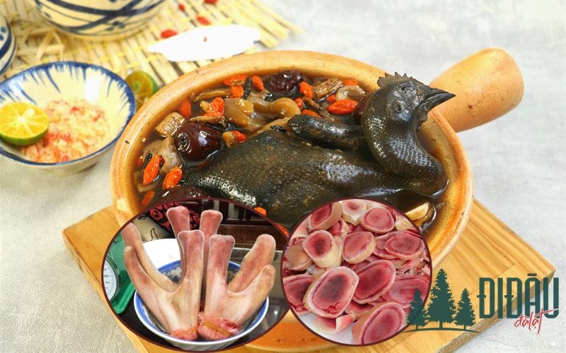 Canh gà ác hầm nhung hươu