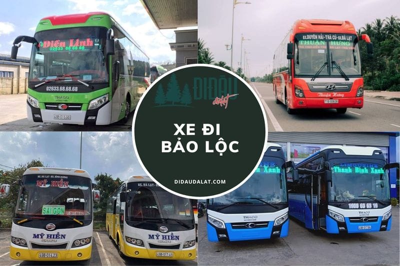 Top 20 nhà xe đi Bảo Lộc giá rẻ đáng tin cậy hàng đầu hiện nay