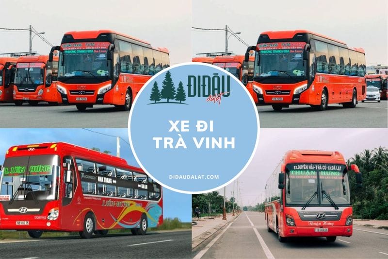 Top 12 nhà xe đi Trà Vinh đặt vé giá rẻ hot nhất, đừng bỏ lỡ