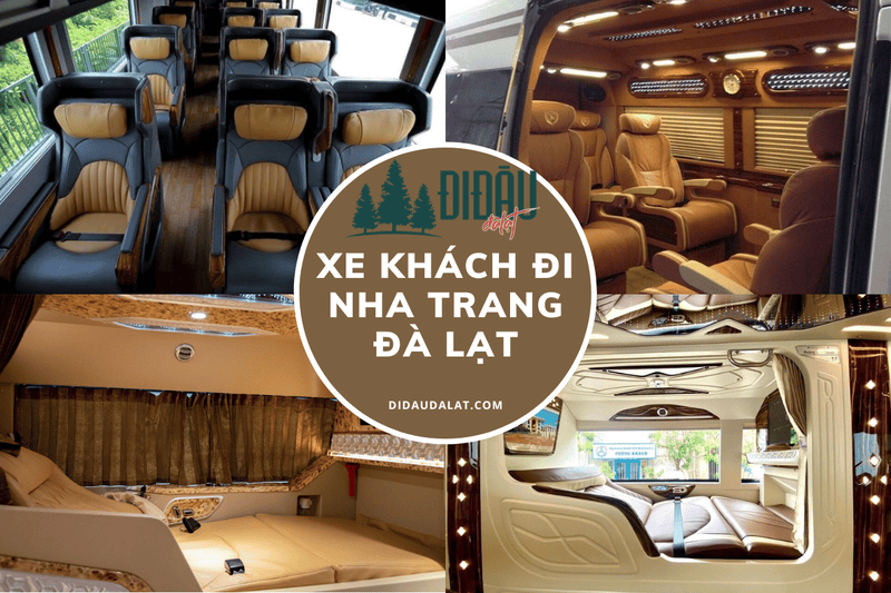 Tổng hợp xe khách Nha Trang Đà Lạt giá rẻ, chất lượng cao