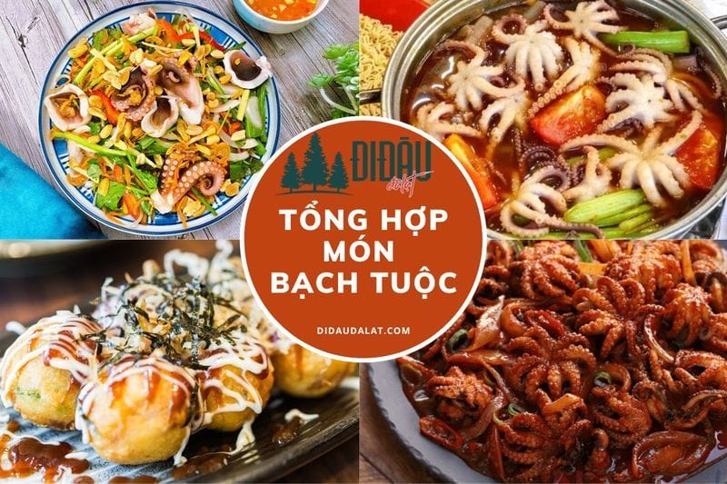 Tổng hợp 20 món từ bạch tuộc ngon lạ miệng – ăn một lần nhớ mãi