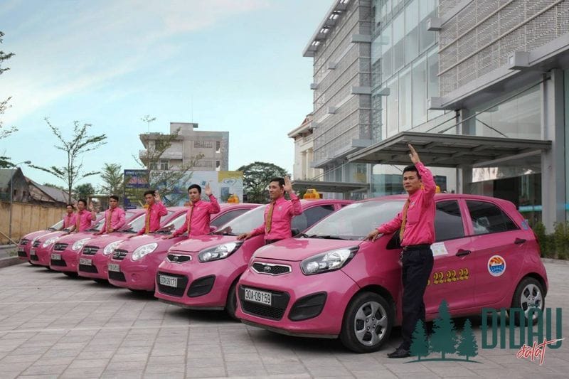 Hãng taxi Hoàng Anh