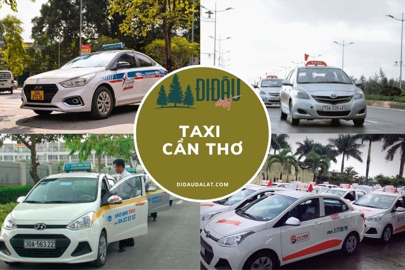Top 12 hãng taxi Cần Thơ đáng tin cậy có số điện thoại hotline