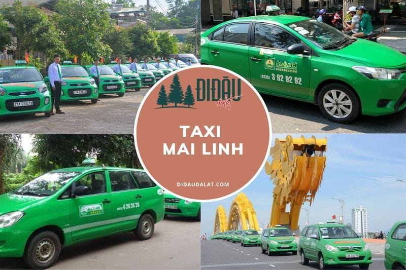 Taxi Mai Linh – Danh sách địa chỉ, số điện thoại tổng đài hotline trên toàn quốc