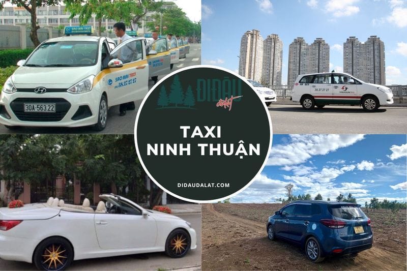 Top 21 hãng taxi Ninh Thuận cập nhất mới và chi tiết nhất hiện nay
