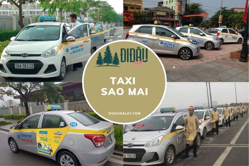 Thông tin về hãng taxi Sao Mai trên địa bàn TP. Hà Nội chi tiết nhất