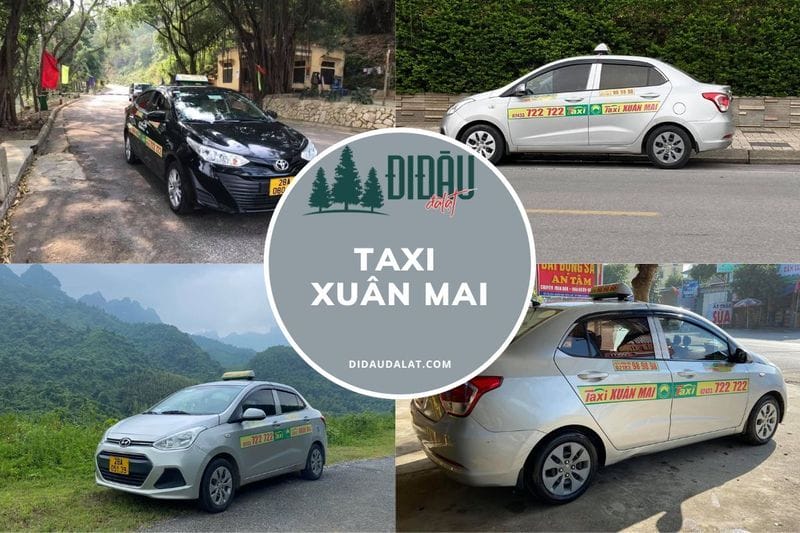Tổng hợp thông tin taxi Xuân Mai tốt nhất, đừng bỏ lỡ