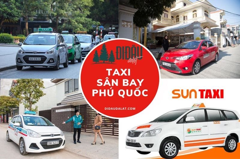 Top 8 hãng taxi sân bay Phú Quốc uy tín, chất lượng và giá rẻ