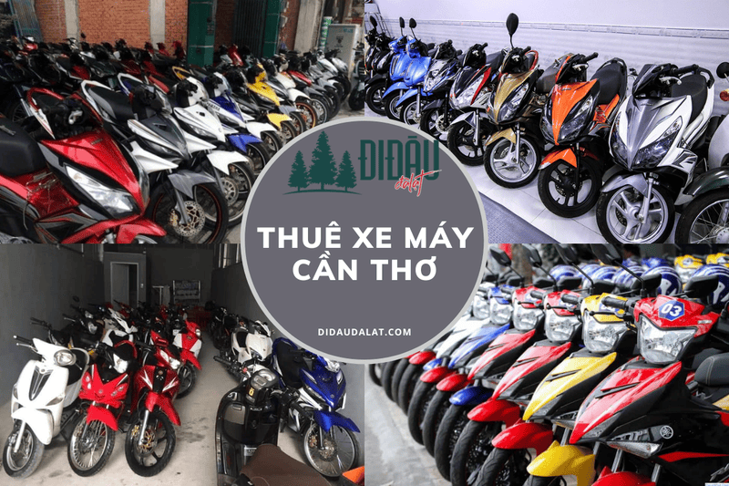 TOP Dịch vụ cho thuê xe máy Cần Thơ Ninh Kiều uy tín, chất lượng nhất