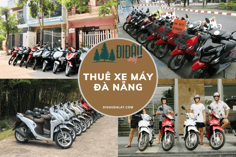 TOP Dịch vụ cho thuê xe máy Đà Nẵng giá rẻ uy tín chất lượng cao
