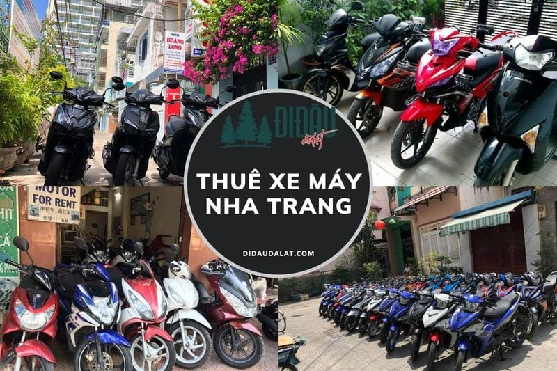 TOP 18+ Dịch vụ cho thuê xe máy Nha Trang giá rẻ uy tín giao xe tận nơi