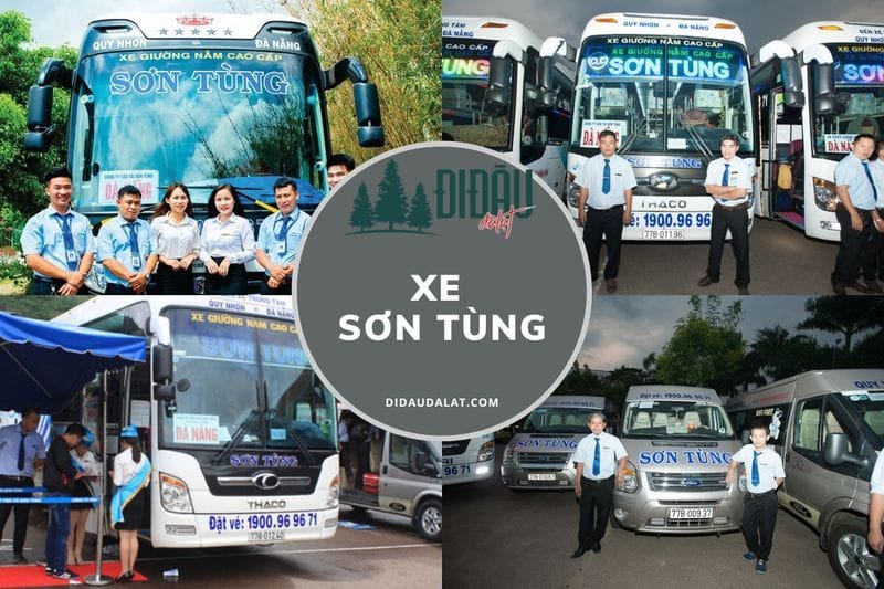 Xe Sơn Tùng – Thông tin liên hệ và giá cước phí