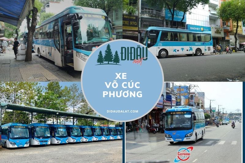 Nhà xe Võ Cúc Phương – Thông tin liên hệ và giá cước phí