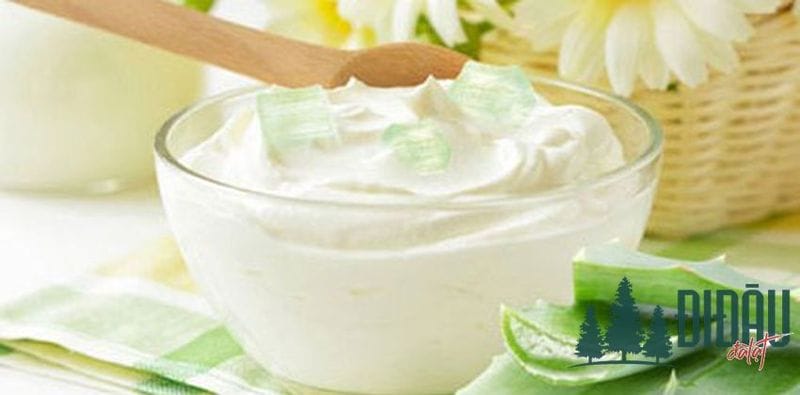 Cách làm sữa chua nha đam