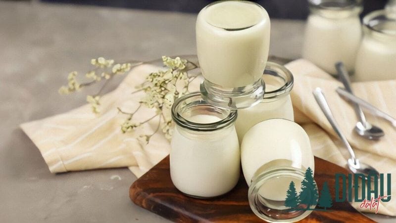 Cách thưởng thức và bảo quản sữa chua