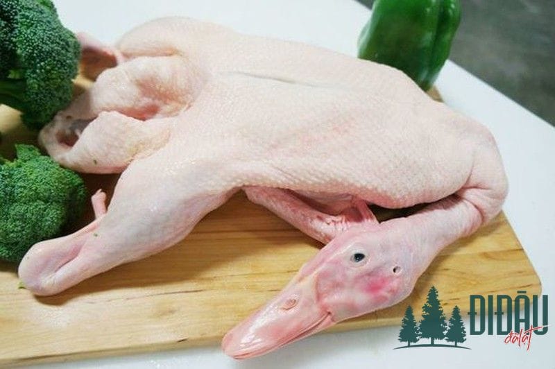 Lưu ý chọn vịt ngon