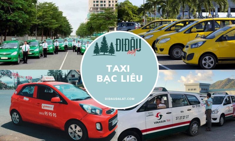 Tổng hợp 6 hãng taxi Bạc Liêu an toàn- uy tín – chất lượng