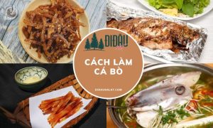 cá bò