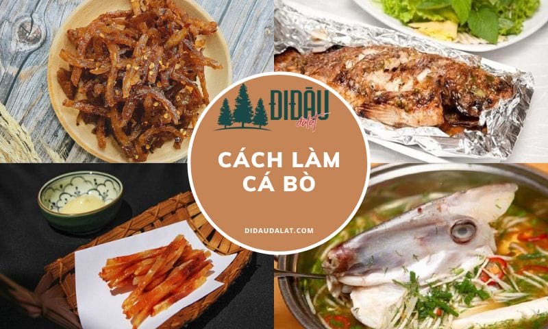 Cách làm cá bò thơm ngon đổi giá cho cả nhà dịp cuối tuần