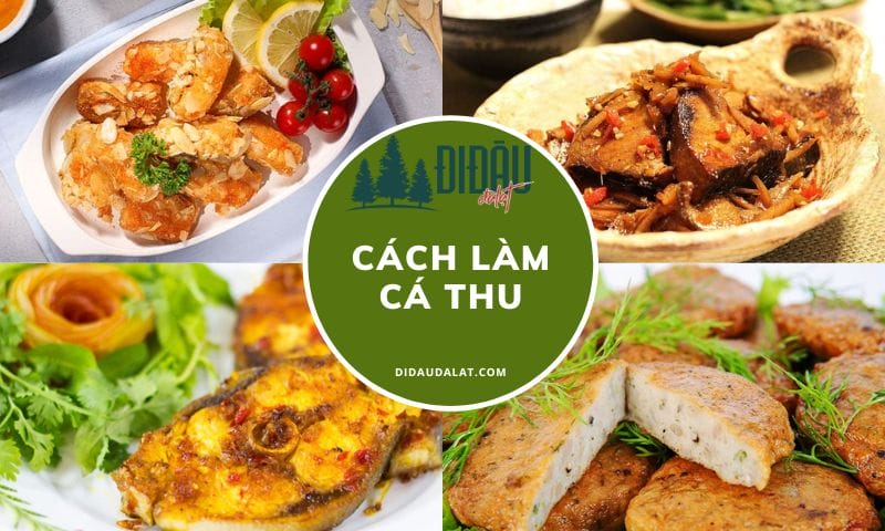Cách làm cá thu hấp dẫn, thơm ngon tốt cho sức khoẻ gia đình bạn