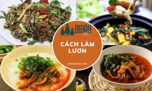 lươn