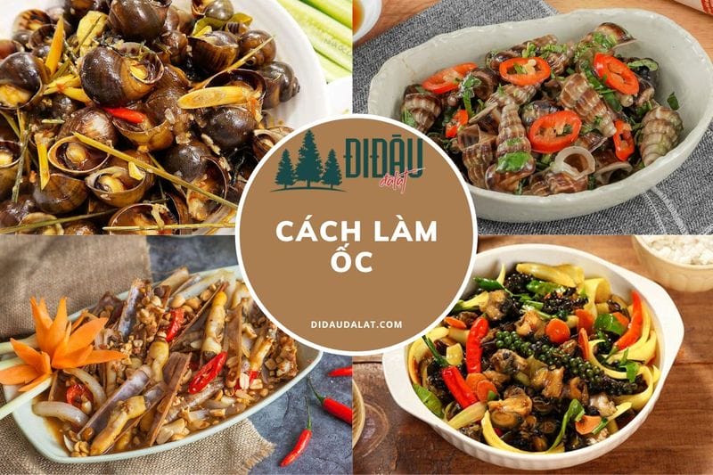 Tổng hợp cách làm món ốc xào đậm đà, thơm ngon ăn là ghiền