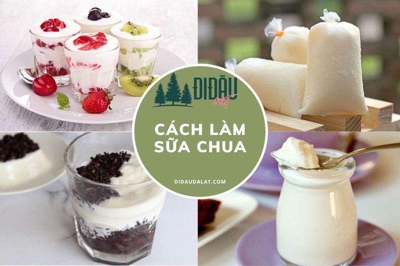 Tổng hợp cách làm sữa chua sánh mịn, dẻo ngon chuẩn vị tại nhà