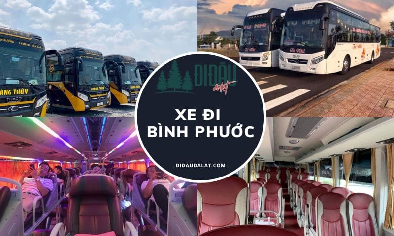 TOP 10+ xe khách Sài Gòn – Bình Phước uy tín chất lượng