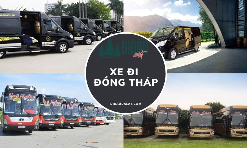 Bật Mí 5+ Nhà Xe Limousine Sài Gòn Đồng Tháp Cao Lãnh Uy Tín Chất Lượng