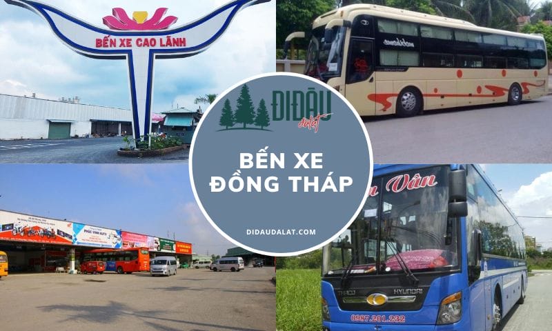 Bến Xe Đồng Tháp – Thông tin liên hệ và lịch trình di chuyển