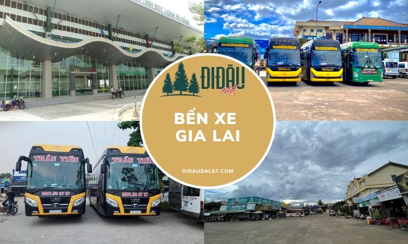 Bến Xe Đức Long Gia Lai – Thông tin liên hệ và lịch trình di chuyển