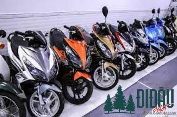 Cơ sở kinh doanh du lịch Nam Thanh