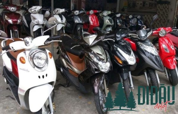 Cửa hàng Đức Hùng
