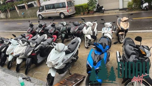 Cửa hàng Hồng Nghị