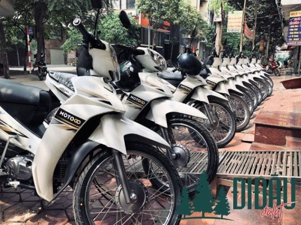 Cửa hàng Lâm Hạ