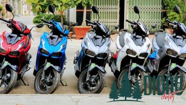 Cửa hàng Toàn Thắng