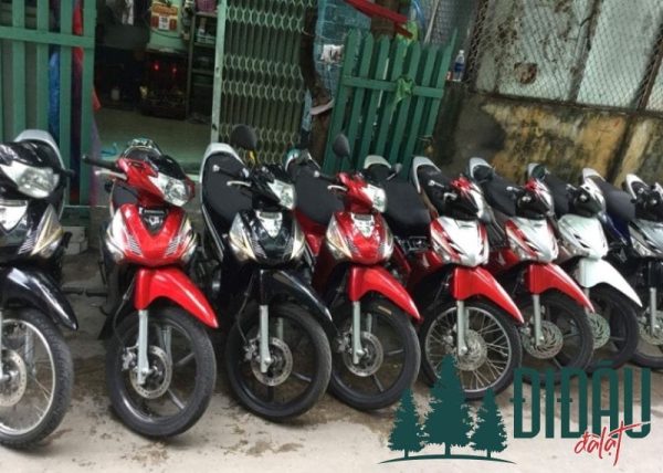 Cửa hàng Trần Thắng
