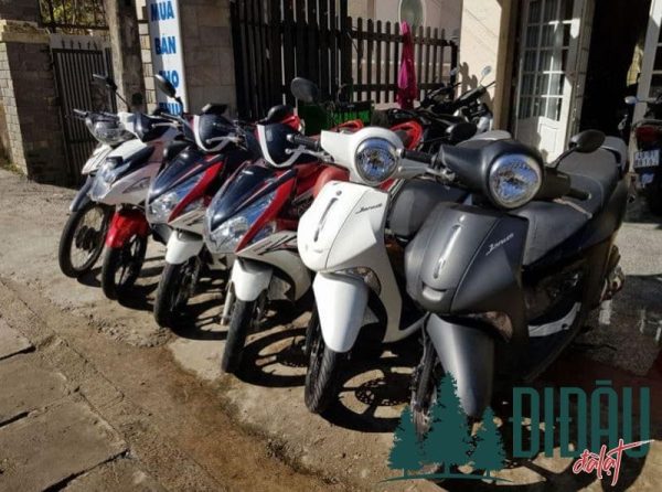 Dịch vụ cho thuê xe máy Hải Yến