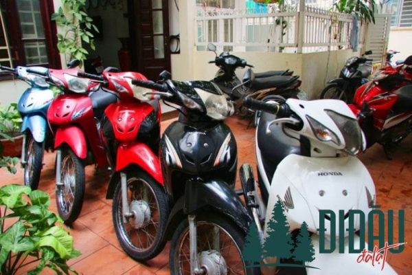 Dịch vụ thuê xe máy tại Gia Đình