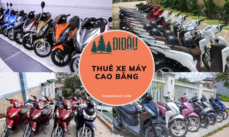 Top 9 địa chỉ thuê xe máy Cao Bằng uy tín, giá rẻ