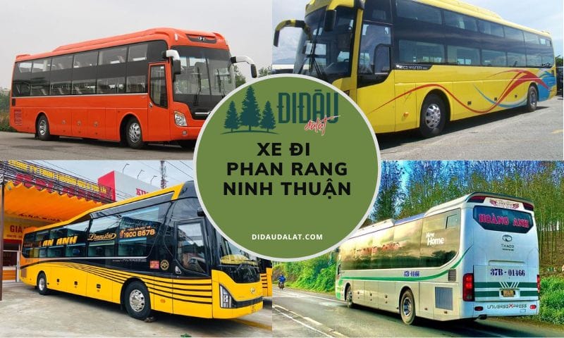 Top 19 xe đi Phan Rang Ninh Thuận – Sài Gòn giá rẻ, uy tín