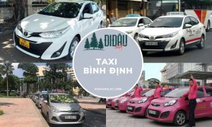 Taxi Bình Định