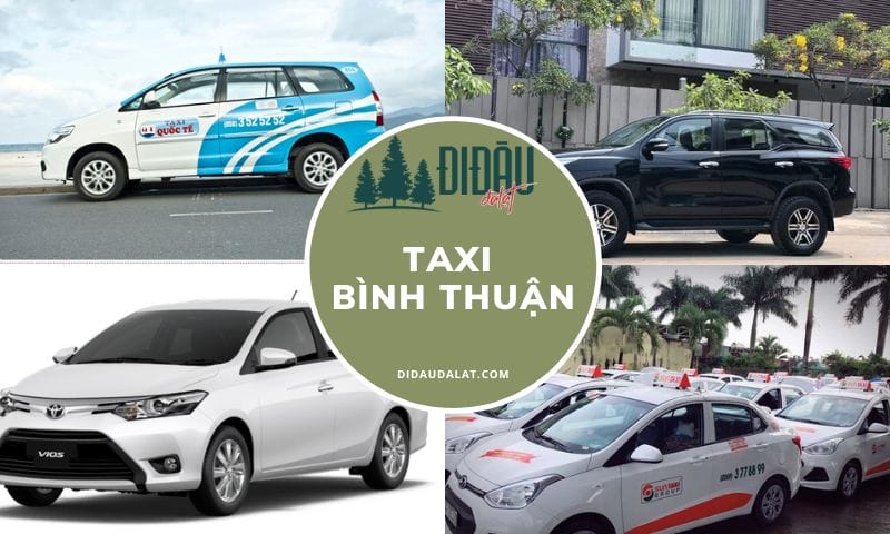 Tổng hợp taxi Bình Thuận giá rẻ cập nhật mới nhất