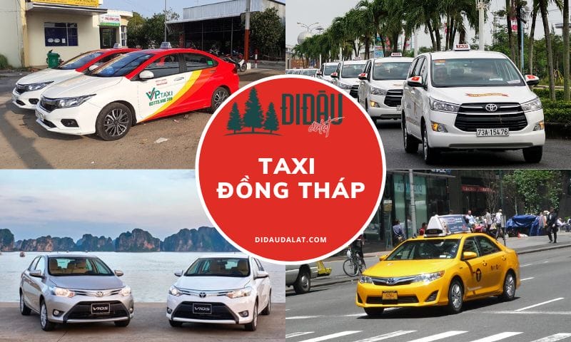 Tổng hợp 19 hãng taxi Đồng Tháp giá rẻ và an toàn nhất hiện nay