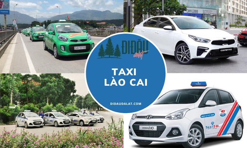 Tổng hợp 11 hãng taxi Lào Cai cập nhật mới nhất
