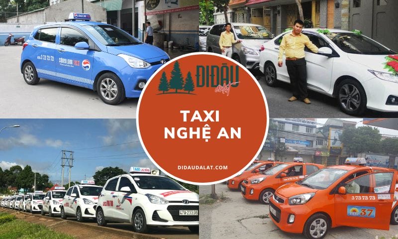 Tổng hợp 12 hãng taxi Nghệ An đưa đón tận sân bay kèm số điện thoại